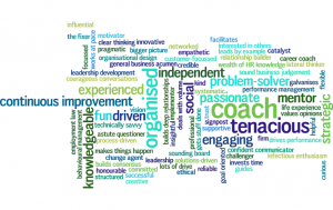 HR solutions provider PeopleStance - customer words to describe Jen Suttie, include coach, the fixer, problem-solver, strategic, experienced, continuous improvement